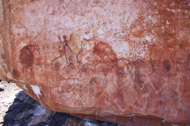 初期のX線フィギュアパネル